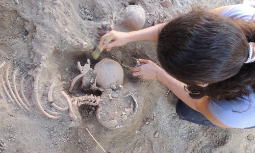 Excavación y Estudio de Cremaciones. Oppidum de Los Sampedros. 10 días. Julio/Agosto 2023